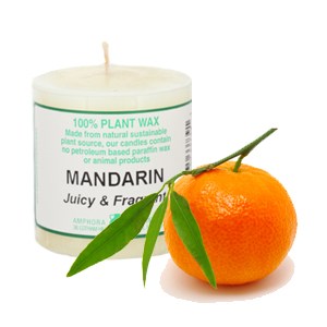 739_e.o. candle 2x2_mandarin_300x300.jpg